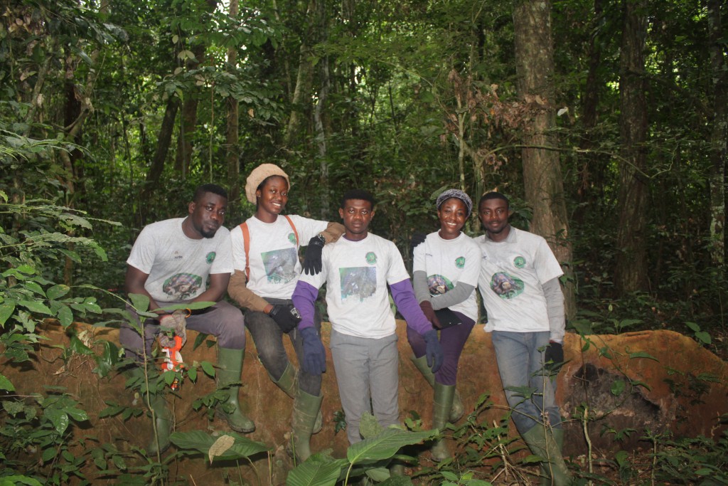 The Field Team of CSC - Ghana