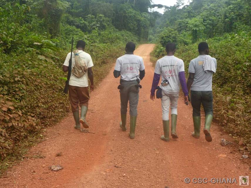 The CSC-Ghana field team at work